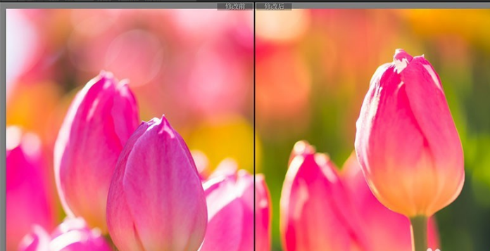 Adobe Photoshop Lightroom screenshot