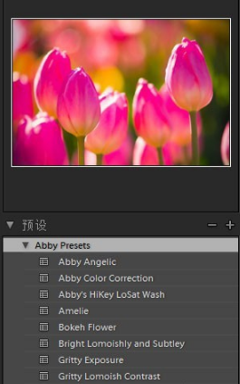 Adobe Photoshop Lightroom screenshot