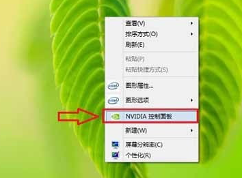 NVIDIA control panel driver screenshot