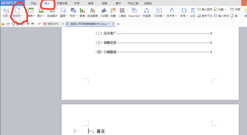 WPS Office screenshot