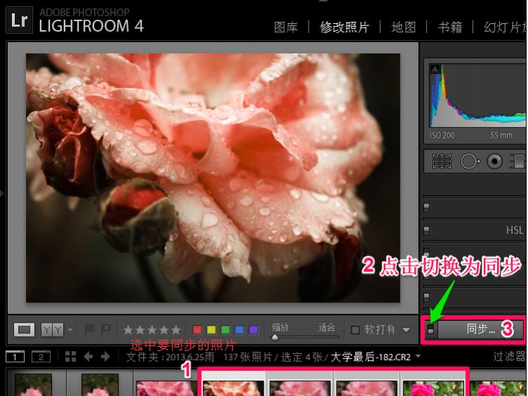 Adobe Photoshop Lightroom screenshot