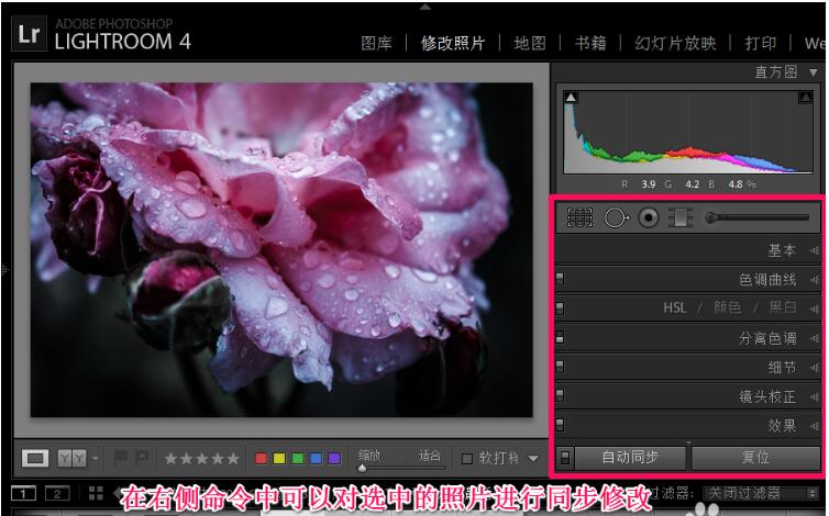 Adobe Photoshop Lightroom screenshot