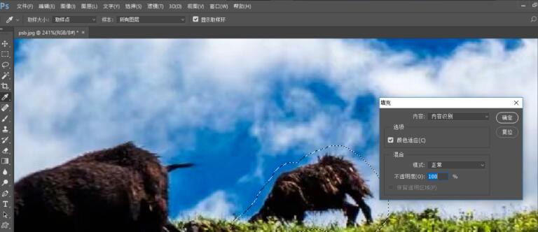 Photoshop CC official website