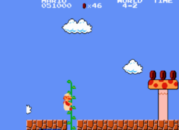 Super Mary (Mario Brothers) Screenshot