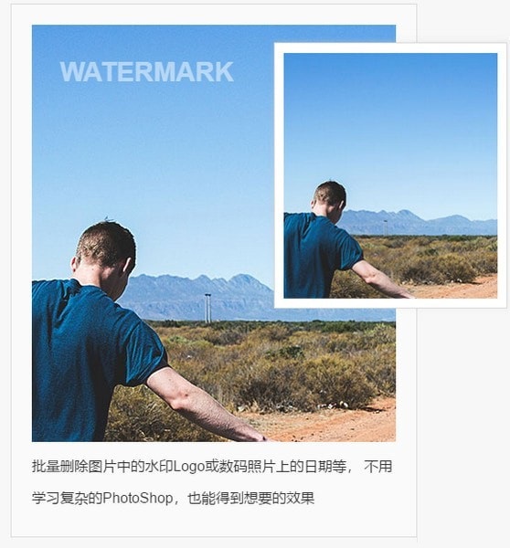 Screenshot of watermark manager