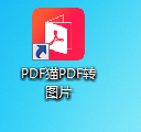 PDF cat PDF to picture screenshot