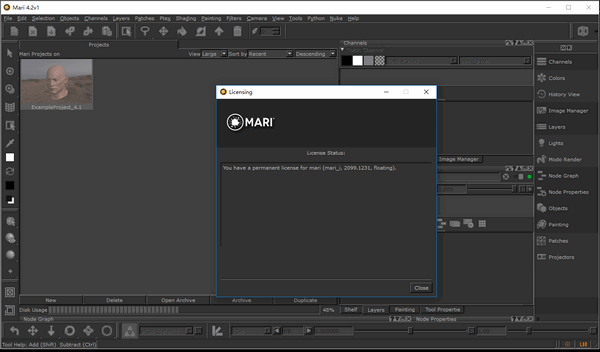 Screenshot of The Foundry Mari