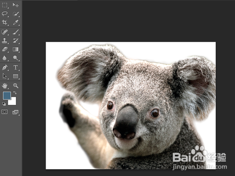 photoshop download official version photoshop download official version