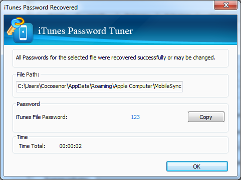 Cocosenor iTunes Password Tuner screenshot