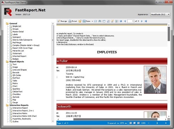 fastreport.net screenshot