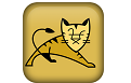 Apache Tomcat section head logo