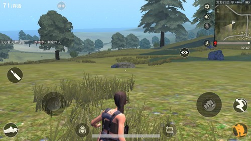 Screenshot of Wilderness Action