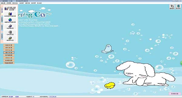 Shengxin Treasury Management King