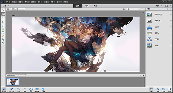 Adobe Photoshop Elements 2020 screenshots