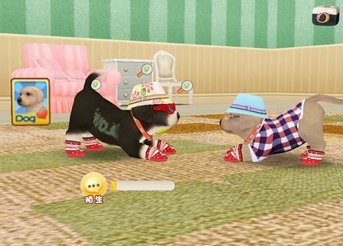 How to give birth to puppies in "Heartbeat Puppies"