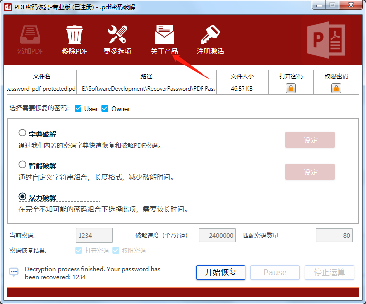 PDF password recovery tool screenshot