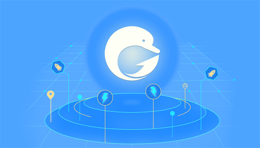 Dolphin Online Game Accelerator