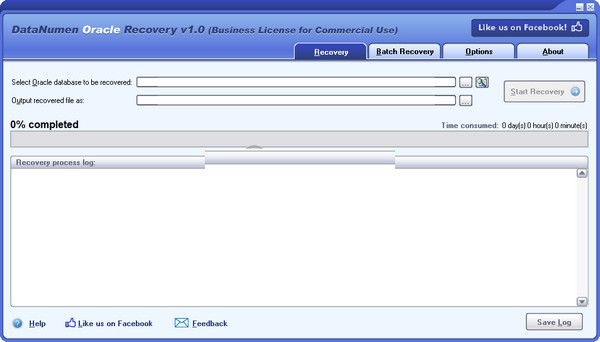 DataNumen Oracle Recovery screenshot