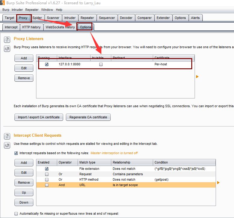 Burpsuite screenshot