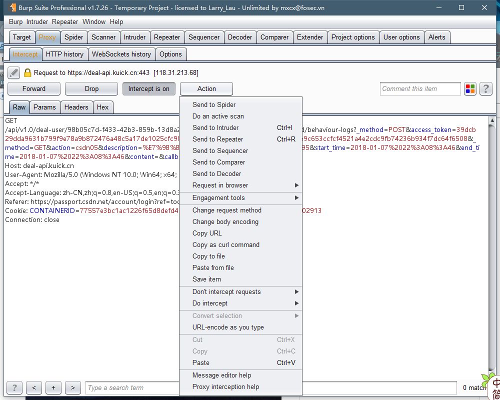 Burpsuite screenshot