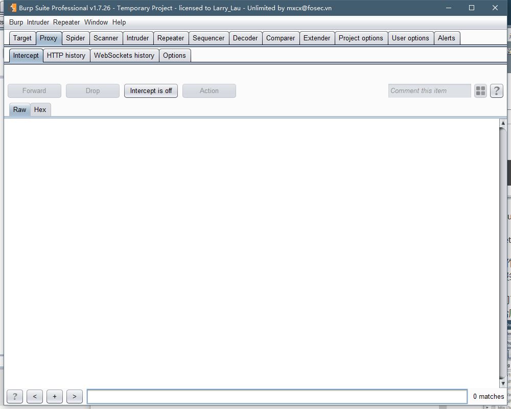 Burpsuite screenshot