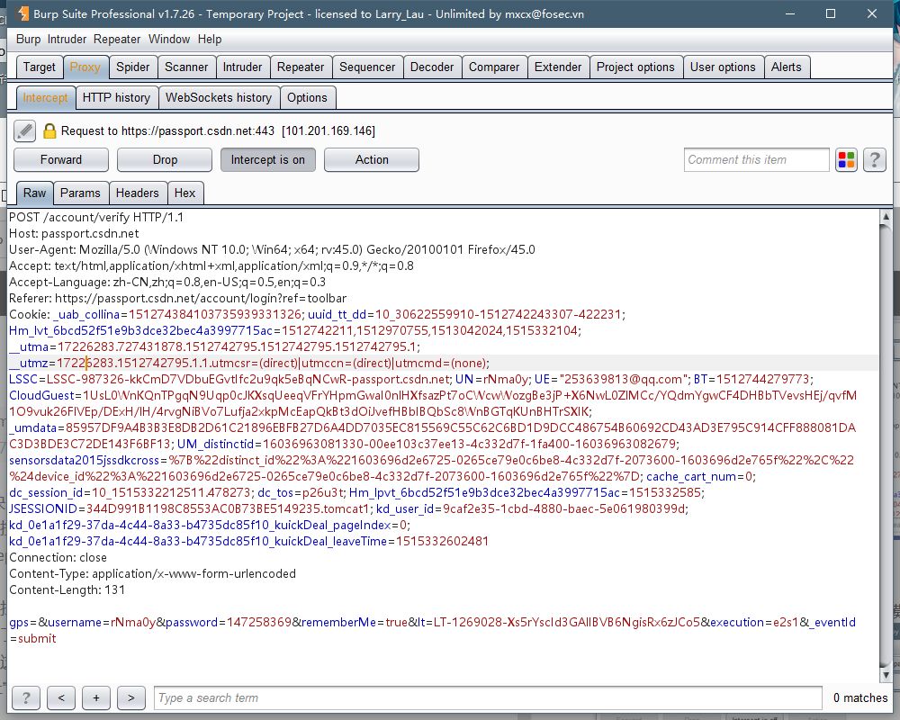 Burpsuite screenshot