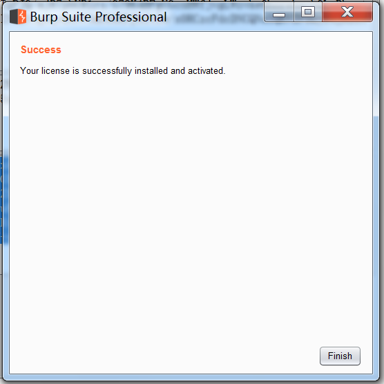 Burpsuite screenshot