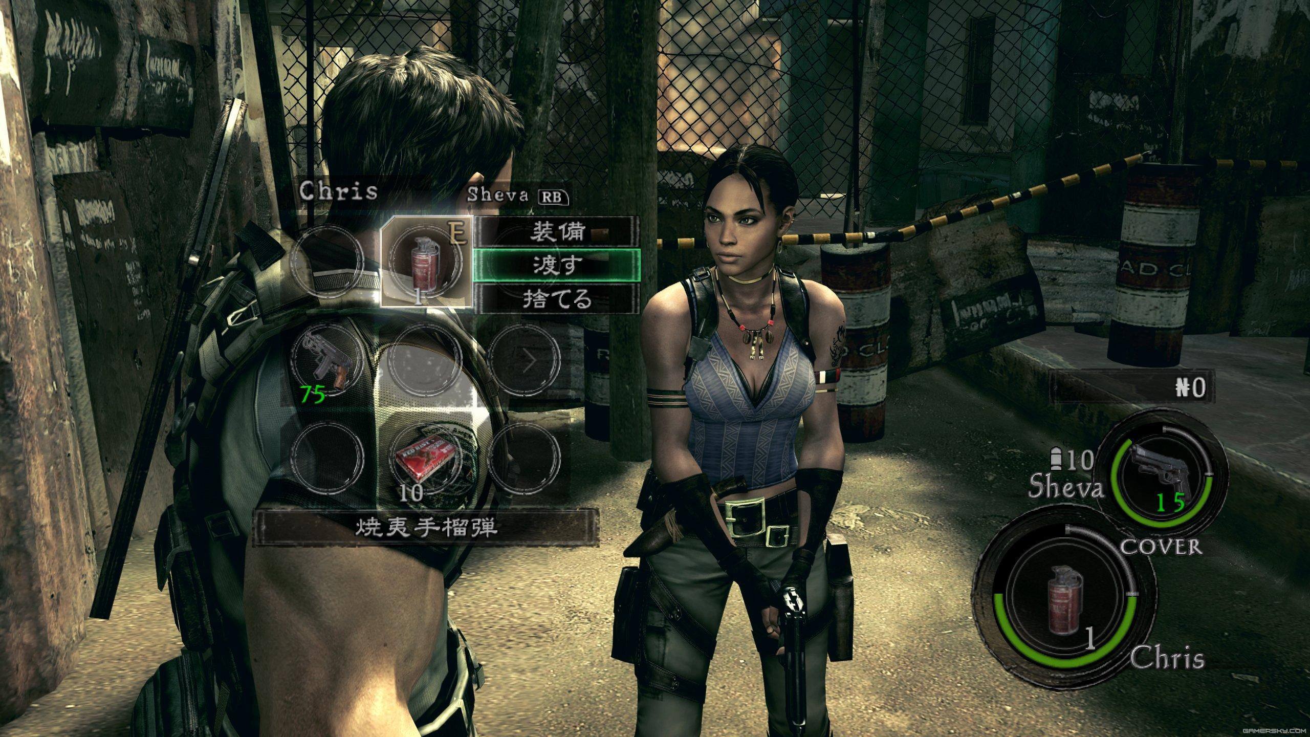 Resident Evil 5 Game