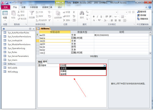 Access2007 screenshot