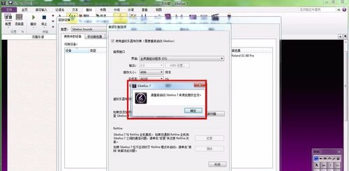 Screenshot of Sibelius notation software