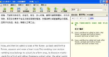 Kingsoft Express Personal Edition