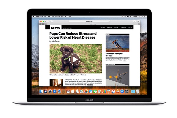 Safari browser for Mac