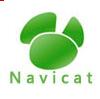 Navicat for SQL Server (32 bit)