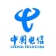 Hubei Telecom 10000 Butler