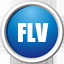 FLV video converter