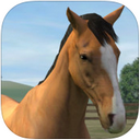 My Horse iPad version