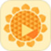 Sunflower remote control software iPad version