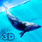 Blue Whale Simulator 3D