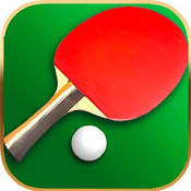 Virtual table tennis simulator