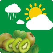 Qianjiang Kiwi Smart Weather