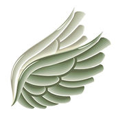 Angel Wings Education