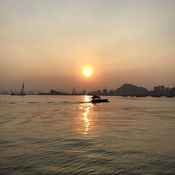 Master of Illustrations