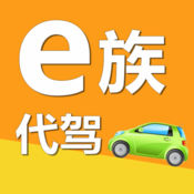 E-family driving