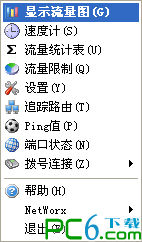 Network traffic statistics tool (NetWorx)