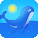 Extreme Whale Download Organ Network