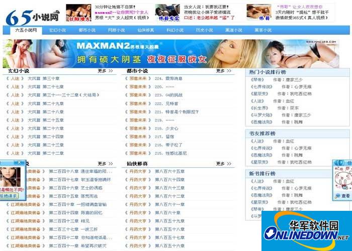 Novel website source code