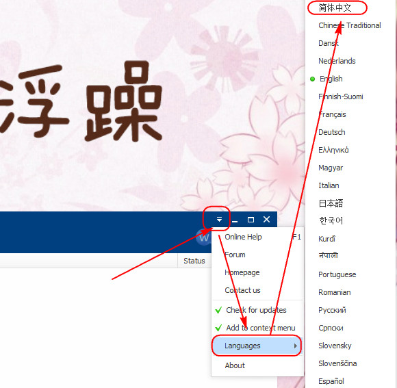 Screenshot of Wise Force Deleter