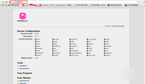 Screenshot of wampserver (php environment installation package)