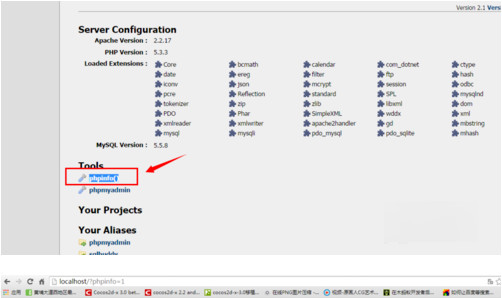 Screenshot of wampserver (php environment installation package)