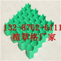 Shenggao Maternity and Baby Products Professional Edition